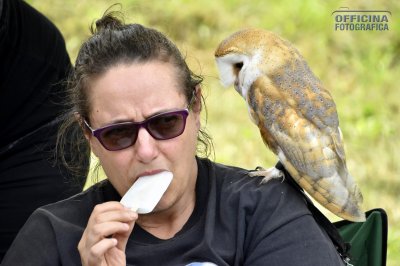 I nostri amici animali